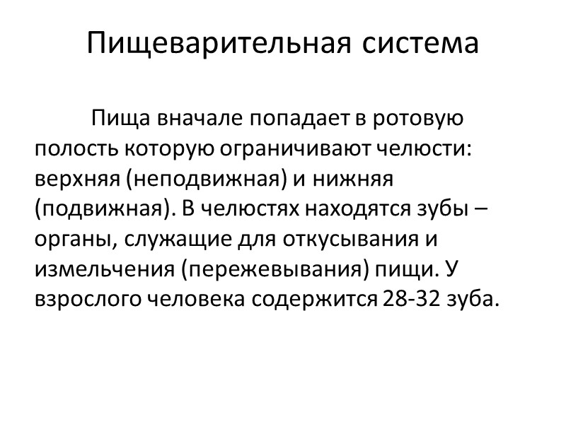 Пищеварительная система  Пища вначале попадает в ротовую полость которую ограничивают челюсти: верхняя (неподвижная)